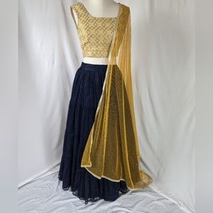 Lehenga top and skirt